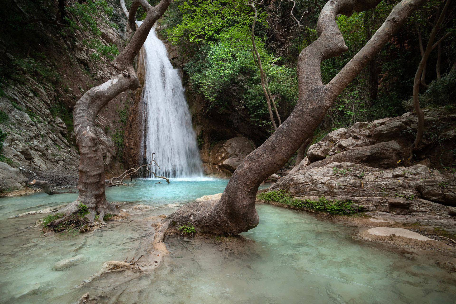 Aldemar Olympian Village Resort NEDA 99 2