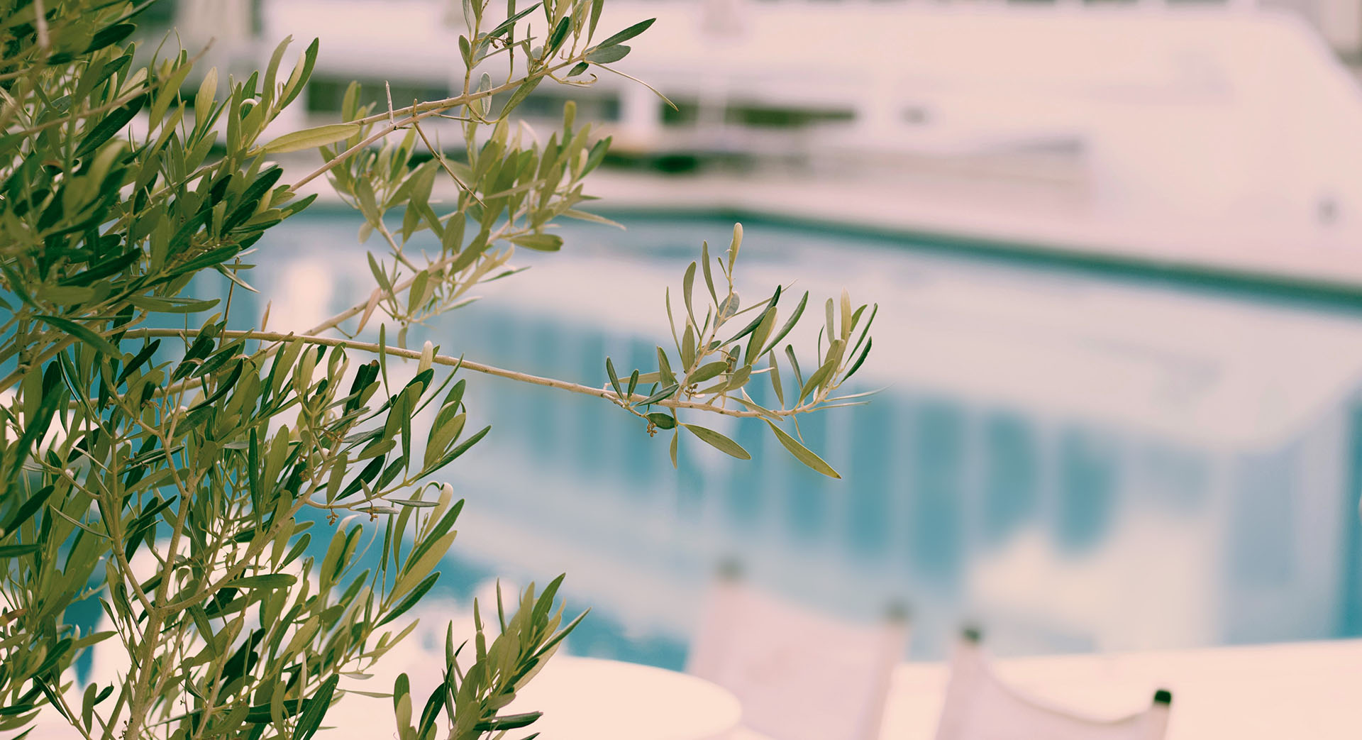 Aldemar Resorts Dragan Miljkovic