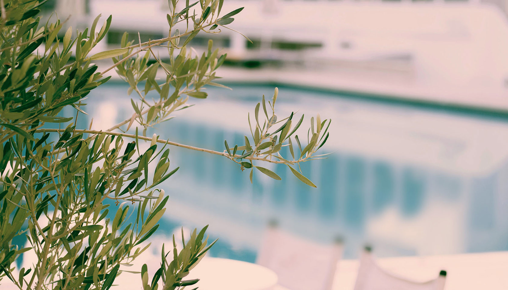Aldemar Resorts Dragan Miljkovic
