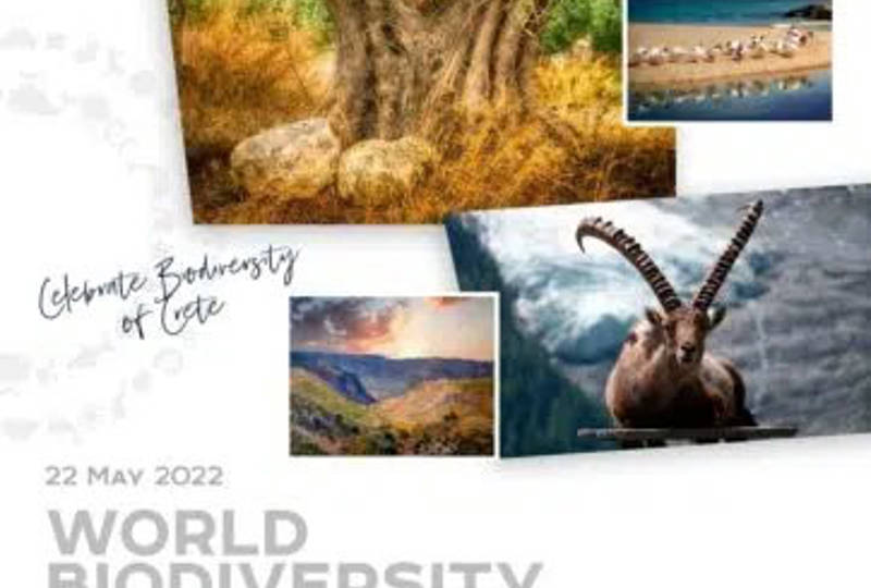 ALDEMAR RESORTS GROUP AND THE PROTECTION OF BIODIVERSITY ON THE OCCASION OF THE WORLD BIODIVERSITY DAY (CRETE)