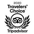 TripAdvisor 2020